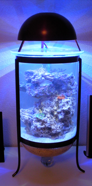 Nanoaquarium